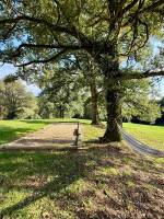 Jonathan FLEURANCE - ATELIER STANDARD